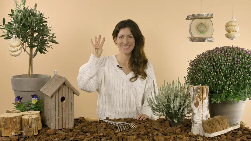 Maak je tuin winterklaar - 4 tips Maak je tuin winterklaar - 4 tips