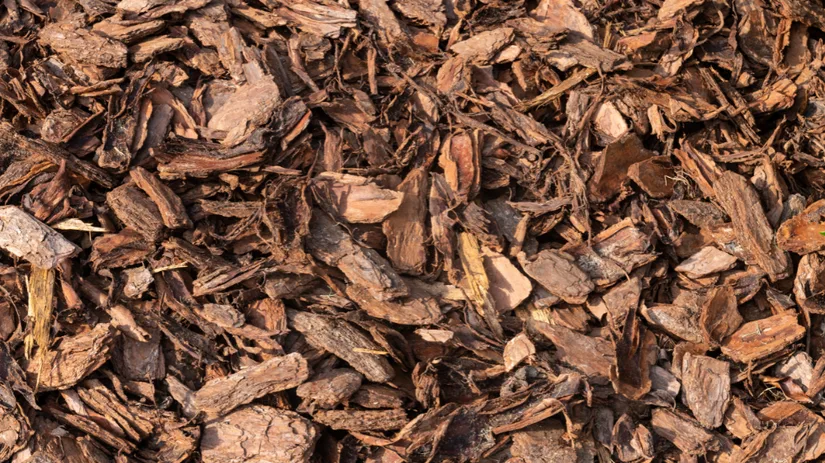Boomschors als bodembedekker tegen onkruid.png Houtsnippers bedekken de grond, los en door elkaar liggend, als bruin mulchmateriaal gebruikt in een tuin- of landschapsomgeving.