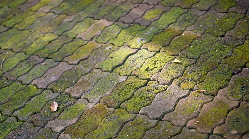 Groene aanslag verwijderen met schoonmaakazijn.png Array