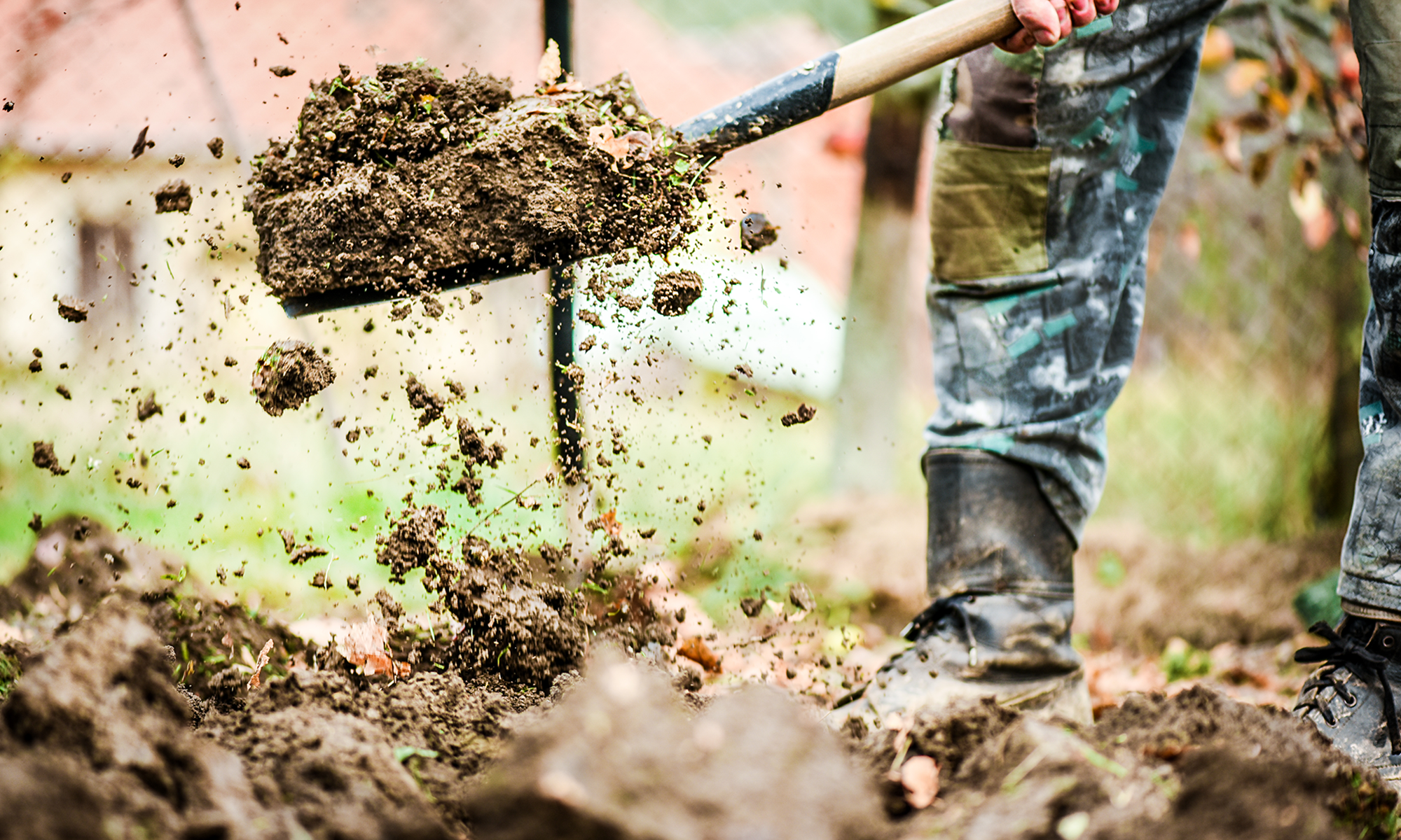 De grote najaarsschoonmaak in de moestuin