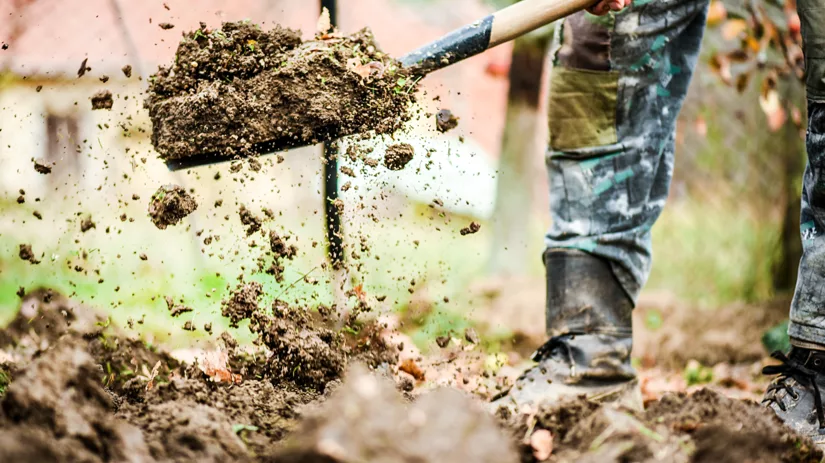 De grote najaarsschoonmaak in de moestuin De grote najaarsschoonmaak in de moestuin
