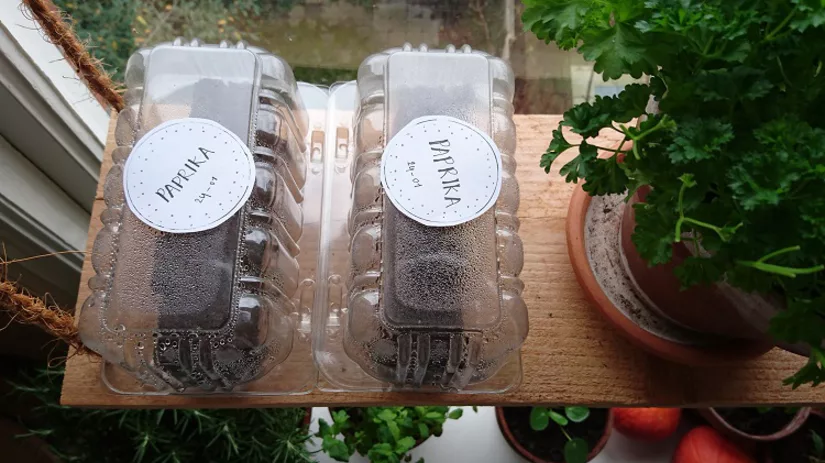 zaaibakjes-floor zaaibakjes-floor