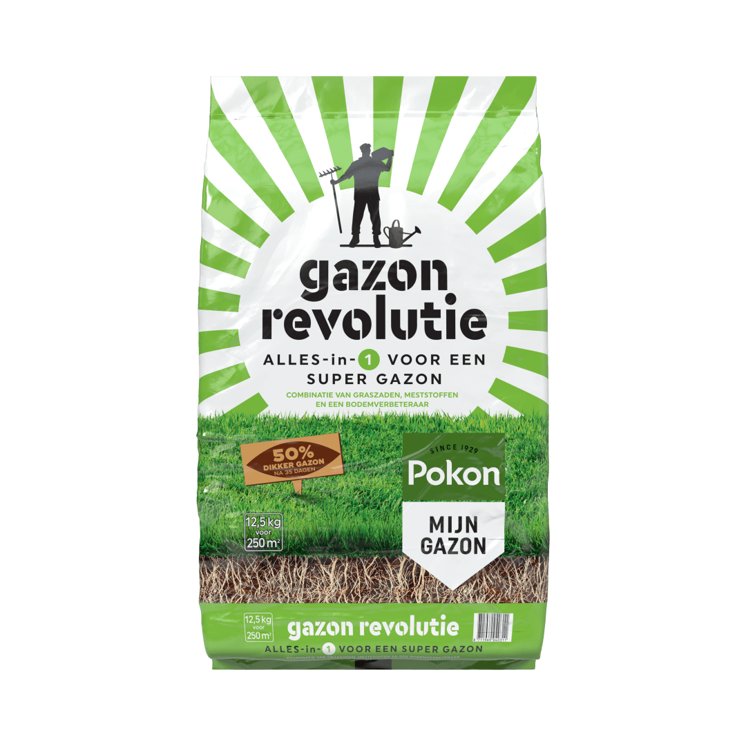 Grote zak gazonzaad staat rechtop (object), toont verpakkingsteksten en logo (actie) tegen een effen turquoise achtergrond met grasillustratie (context).

Gevonden tekst:
gazon revolutie
ALLES-in-1 VOOR EEN SUPER GAZON
COMBINATIE VAN GRASZADEN, MESTSTOFFE