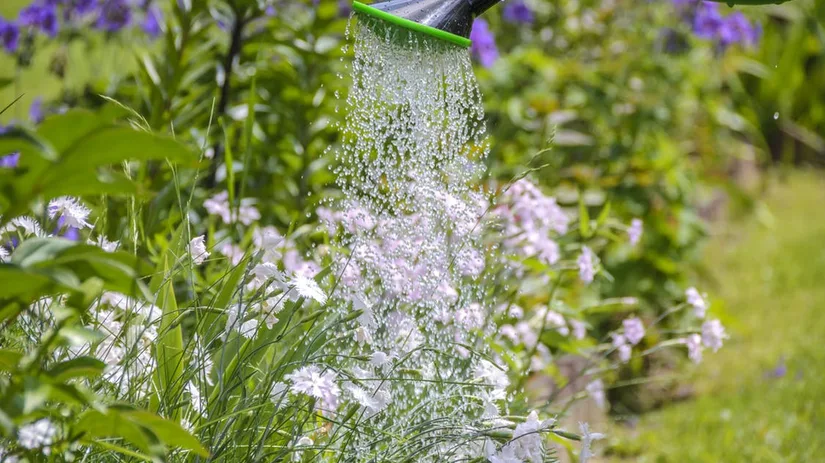 water geven water geven