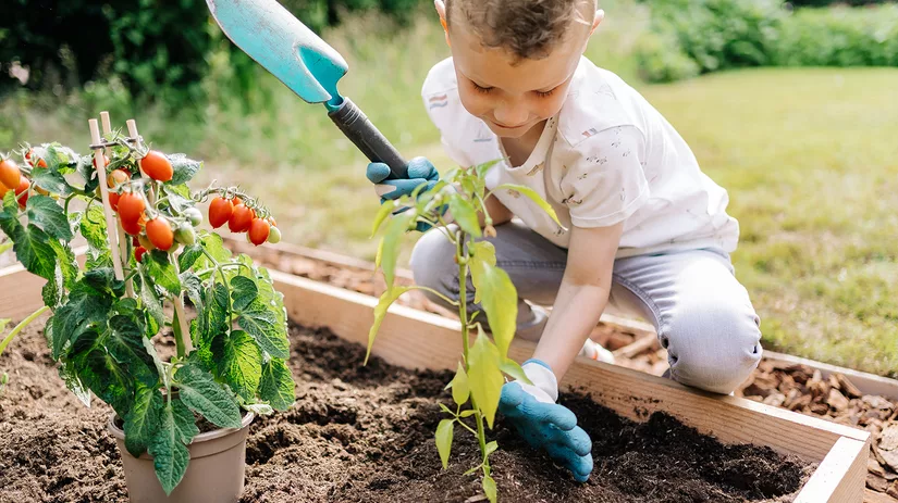 Zaaien in mei Zaaien in mei