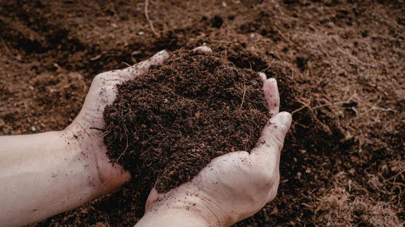 Bodem verbeteren in de moestuin (2).png Bodem verbeteren in de moestuin (2).png