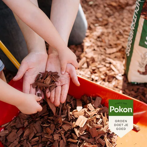 Handen (volwassen en kind) scheppen houtsnippers uit een rood bakje, buiten op een bed van schors. Tekst op afbeelding: "Pokon", "SINCE 1929", "GROEN DOET JE GOED".