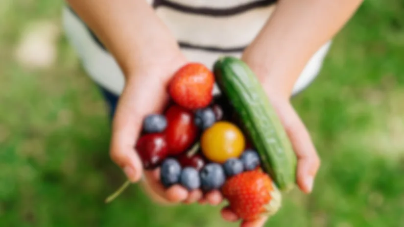 Vervaagde oogst moestuin.png Vervaagde oogst moestuin.png