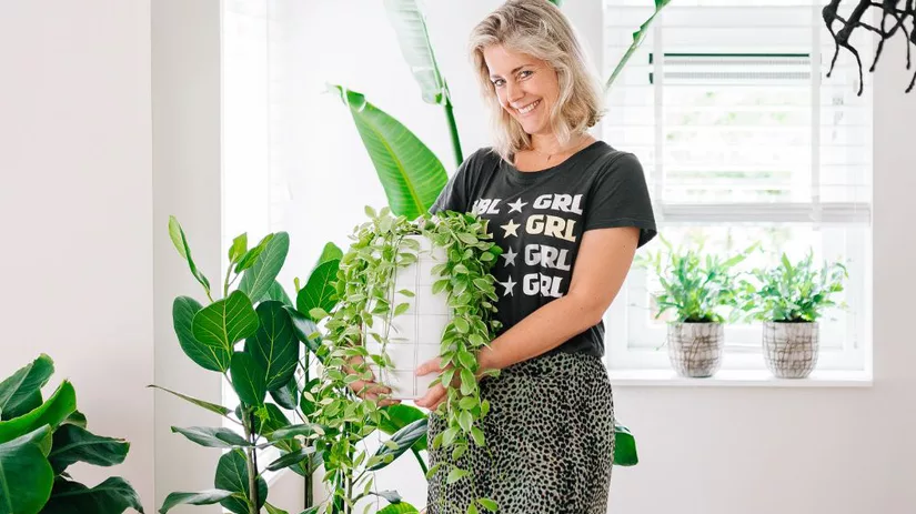 5x Makkelijke hangplanten voor binnen 5x Makkelijke hangplanten voor binnen