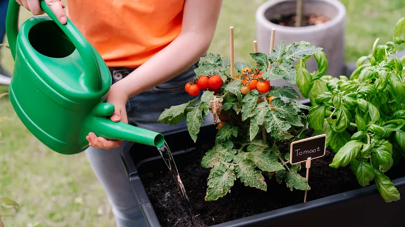 Zaaien & oogsten in september Zaaien & oogsten in september