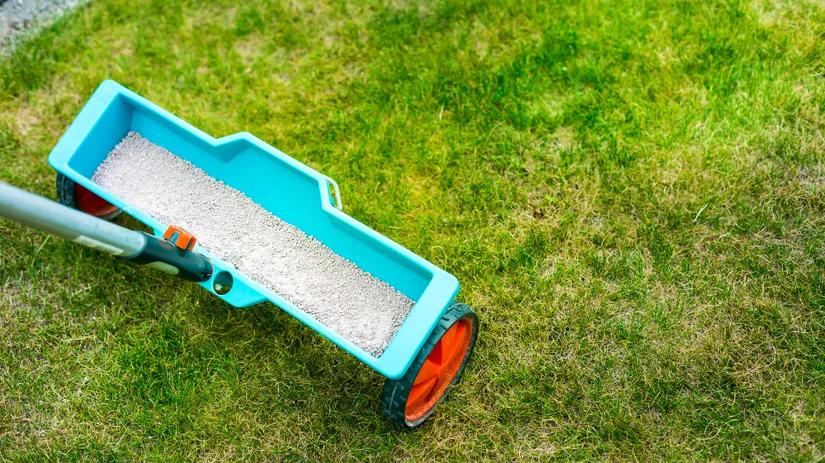 Kalk strooien bij regen Kalk strooien bij regen