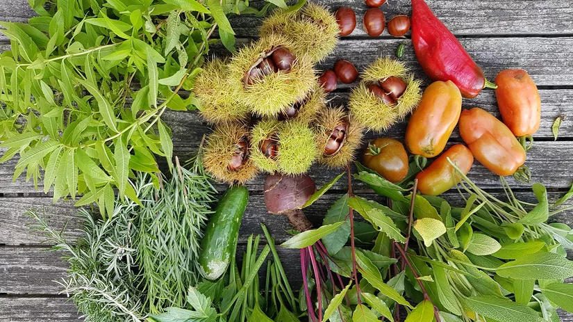 Moestuin tips voor het najaar Moestuin tips voor het najaar