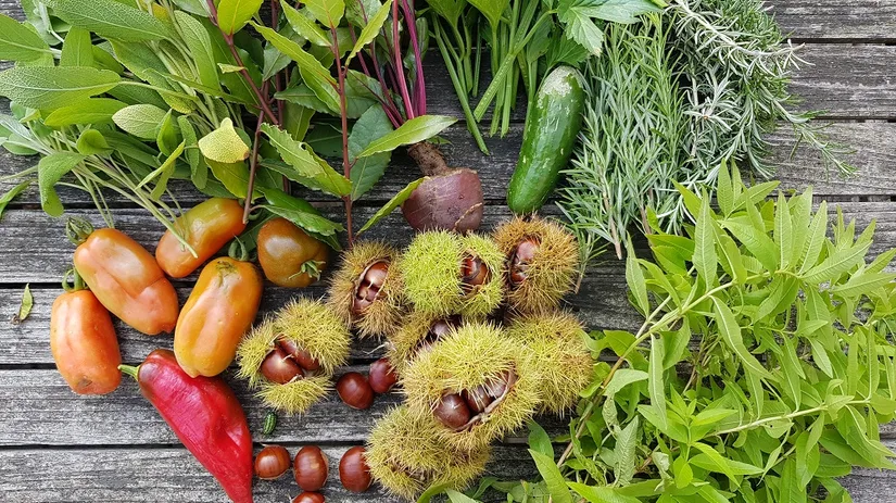 Moestuin tips voor het najaar Moestuin tips voor het najaar