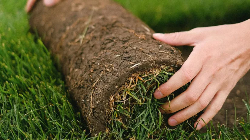 Wanneer graszoden leggen? Wanneer graszoden leggen?