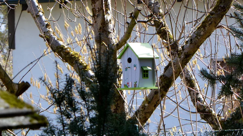 DIY: Vogelhuisje maken DIY: Vogelhuisje maken