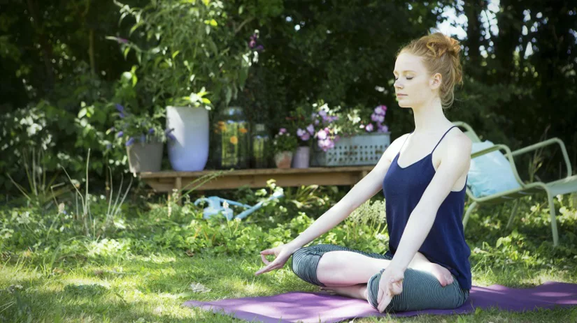 planten relax planten relax