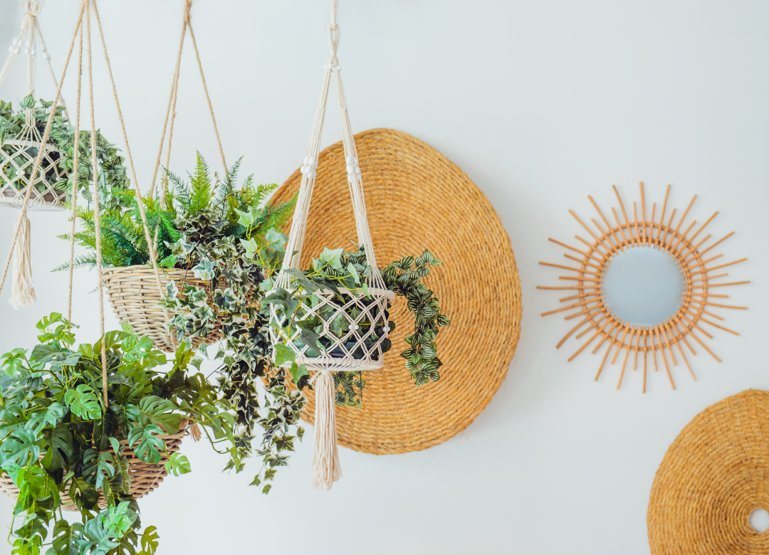 De leukste hangplantjes in huis