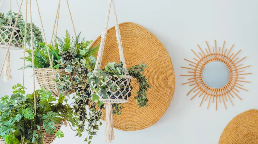 De leukste hangplantjes in huis De leukste hangplantjes in huis