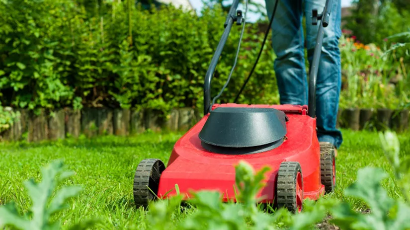 Vaderdagtuinklusjes Vaderdagtuinklusjes