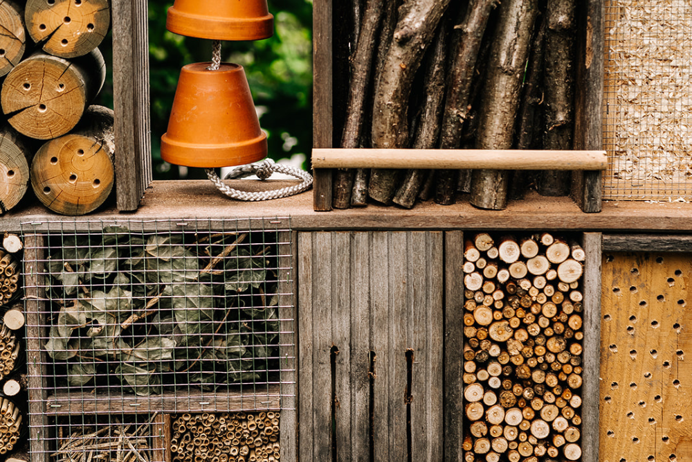 Maak je eigen insectenhotel