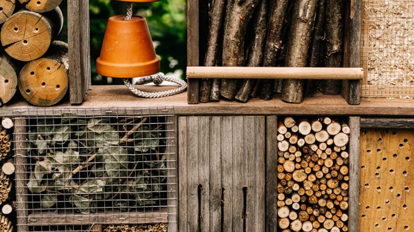 Maak je eigen insectenhotel Maak je eigen insectenhotel