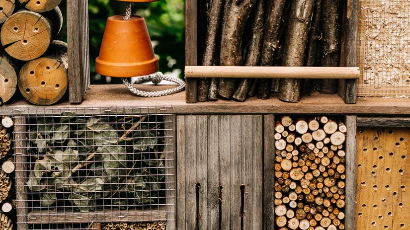 Maak je eigen insectenhotel Maak je eigen insectenhotel