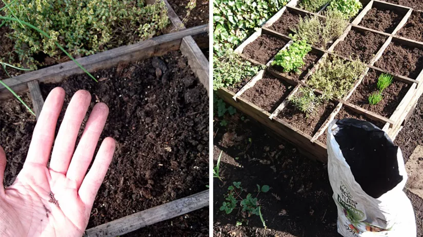 moestuinbak moestuinbak