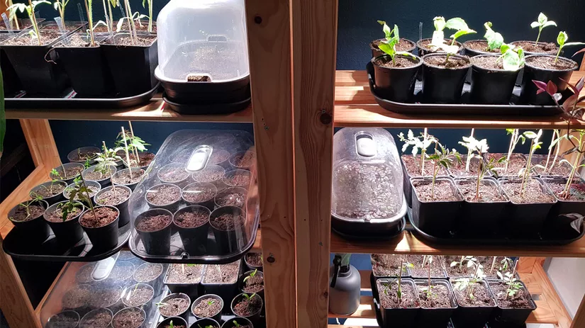 Voordeel van overpotten Voordeel van overpotten