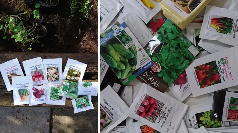 Zaden uitgelicht Zaden uitgelicht