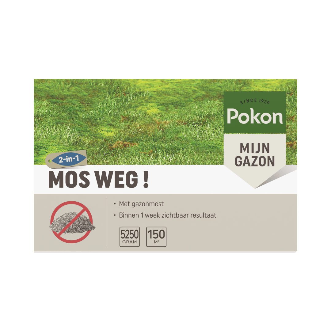Kartonnen verpakking (object) toont merk- en productnaam en gebruiksinstructies (action) tegen een grasachtergrond, bedoeld om mos uit gazons te verwijderen (context).

Getranscribeerde tekst:
2-in-1
SINCE 1929
Pokon
MIJN GAZON
MOS WEG !
Met gazonmest
Bin