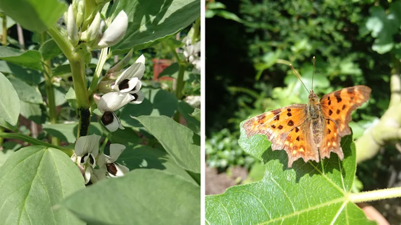 floor-beestjes-03 floor-beestjes-03