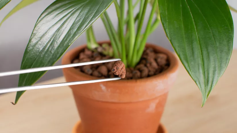 Hydrokorrels: waarom gebruik je ze? Hydrokorrels: waarom gebruik je ze?