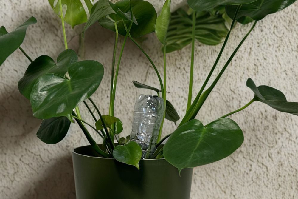 Waterdruppelaar zelf maken