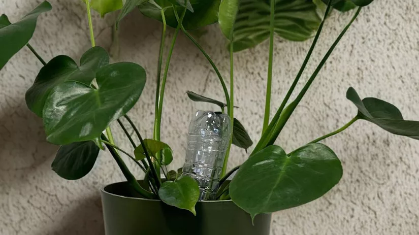 Waterdruppelaar zelf maken Waterdruppelaar zelf maken