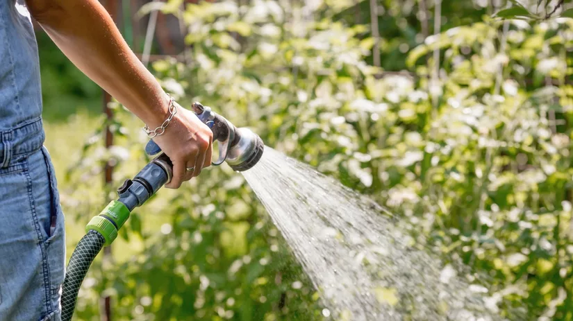 Duurzaam tuinieren: water besparen in de tuin Duurzaam tuinieren: water besparen in de tuin