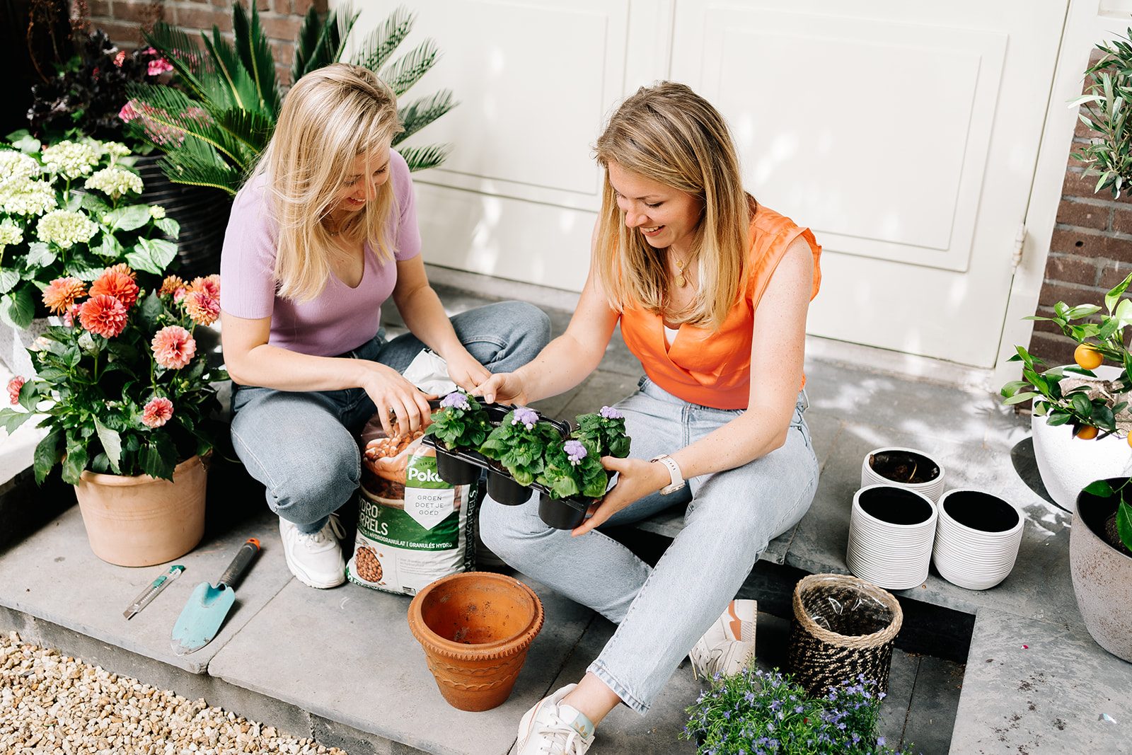 Tips en tricks voor lang bloeiende potplanten Tips en tricks voor lang bloeiende potplanten