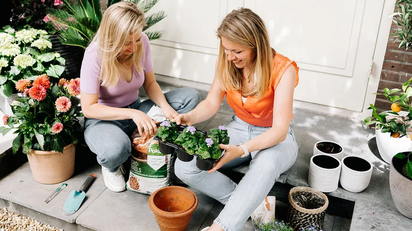 Tips en tricks voor lang bloeiende potplanten Tips en tricks voor lang bloeiende potplanten