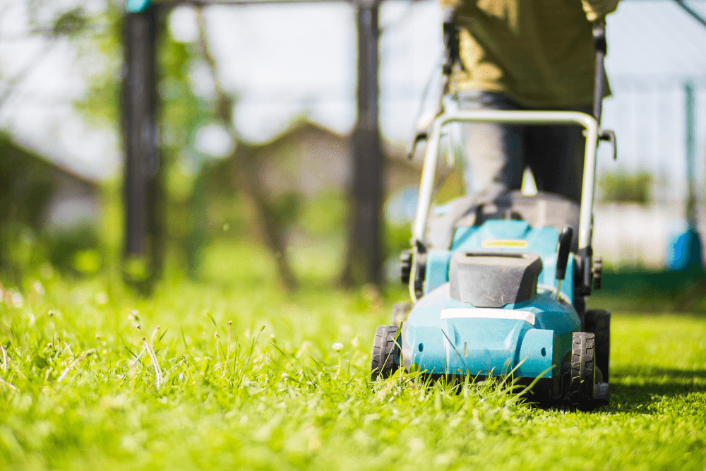 Grasmaaien in de winter