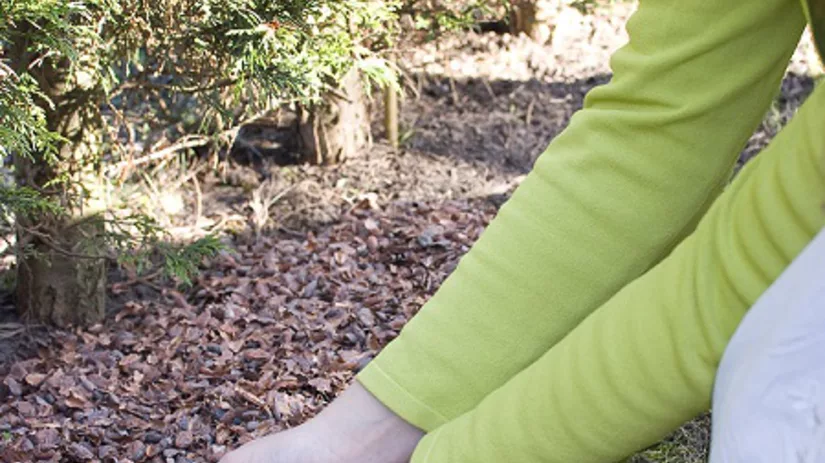 Cacaodoppen tegen onkruid Cacaodoppen tegen onkruid