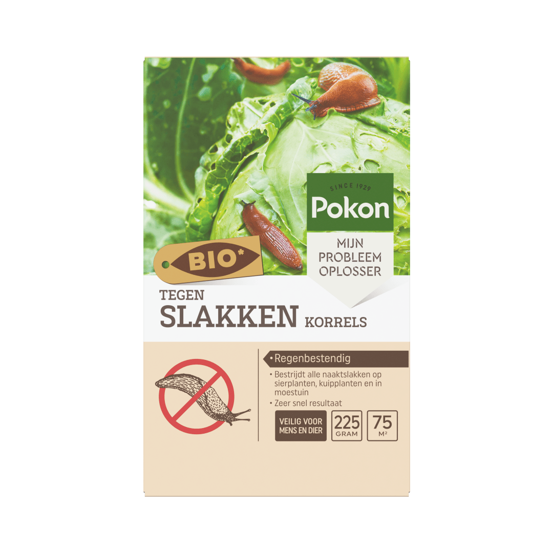 Tekst in beeld:
SINCE 1929
Pokon
MIJN PROBLEEM OPLOSSER
BIO*
TEGEN
SLAKKEN KORRELS
Regenbestendig
Bestrijdt alle naaktslakken op sierplanten, kuipplanten en in moestuin
Zeer snel resultaat
VEILIG VOOR MENS EN DIER
225 GRAM
75 M²

Koolblad — wordt bekropen