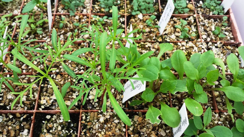 Vol in huis Vol in huis