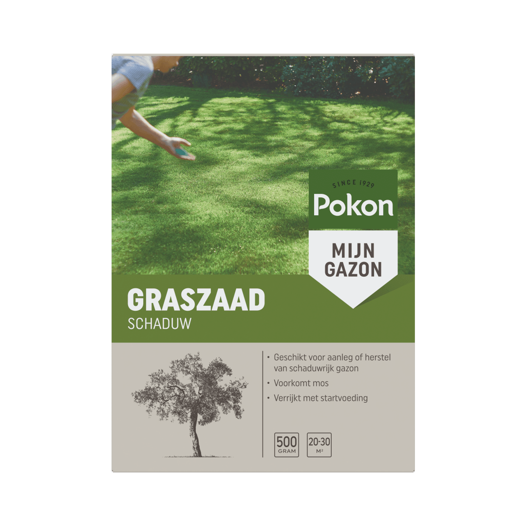 Zak graszaad: een persoon strooit met de hand zaad over een schaduwrijk, egaal grasveld met bomen en zonneschaduw op de achtergrond.

Getranscribeerde tekst:
SINCE 1929
Pokon
MIJN GAZON
GRASZAAD
SCHADUW
Geschikt voor aanleg of herstel van schaduwrijk gazo