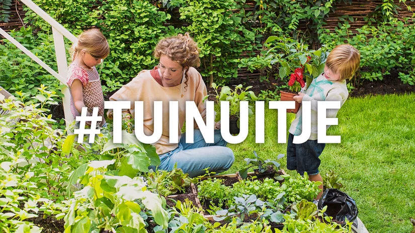 #tuinuitje met Pokon #tuinuitje met Pokon