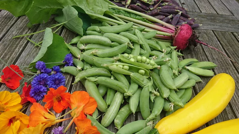 bonen-floor bonen-floor