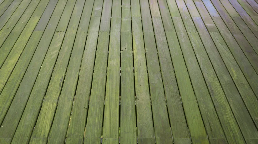 Groene aanslag van vlonder verwijderen doe je zo.png Array