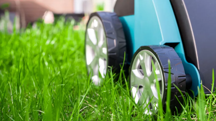 Wanneer gras maaien: ochtend of avond? Wanneer gras maaien: ochtend of avond?