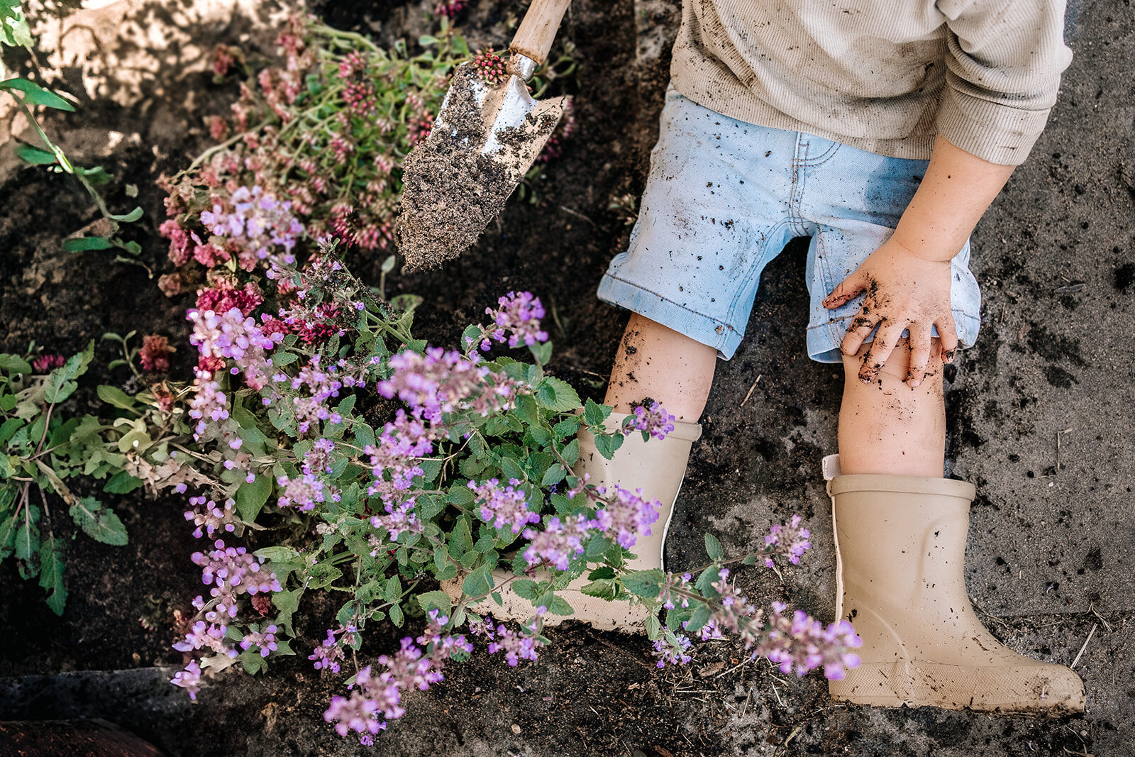 Pokon voedingskegels