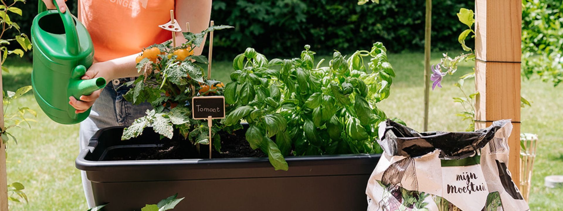 Moestuinbak of pot