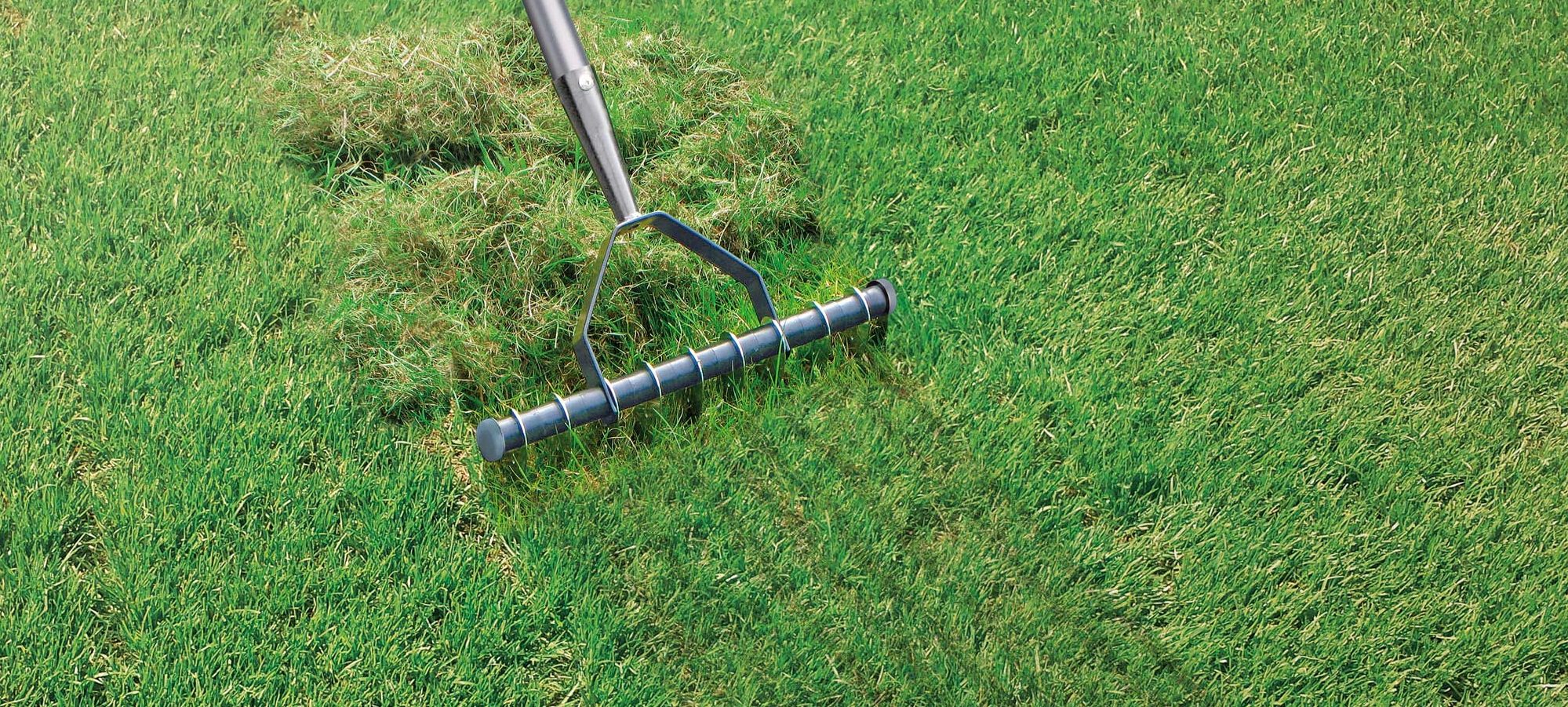 Wanneer gras verticuteren?