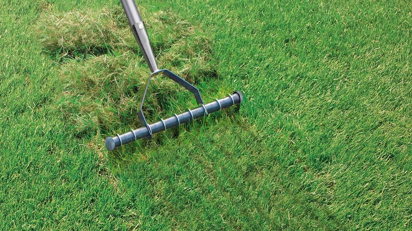 Wanneer gras verticuteren? Wanneer gras verticuteren?